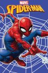 Dětská fleecová deka Spiderman web