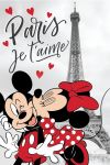 Dětská fleecová deka MM in Paris &quot;Eiffel Tower&quot;